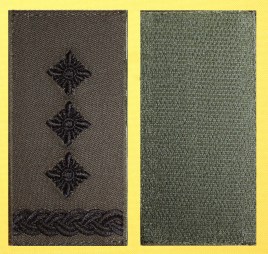 Полковник зеленый2